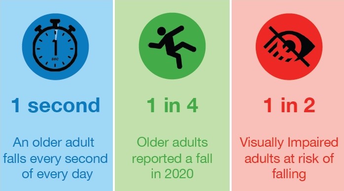 graphic showing statistics on falls