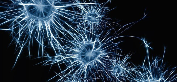 Graphic depiction of neurons