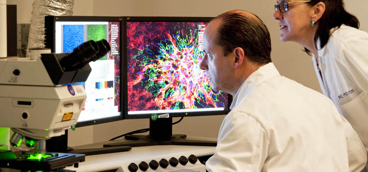 Two scientists observe ocular tissue samples with microscopic detail.