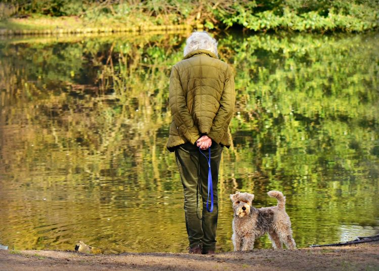 photo of a woman staring into a pond with a pet dog be her side