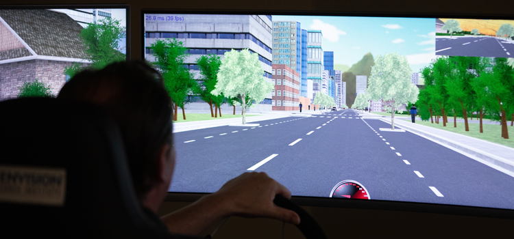 photo of a person in a driving simulator